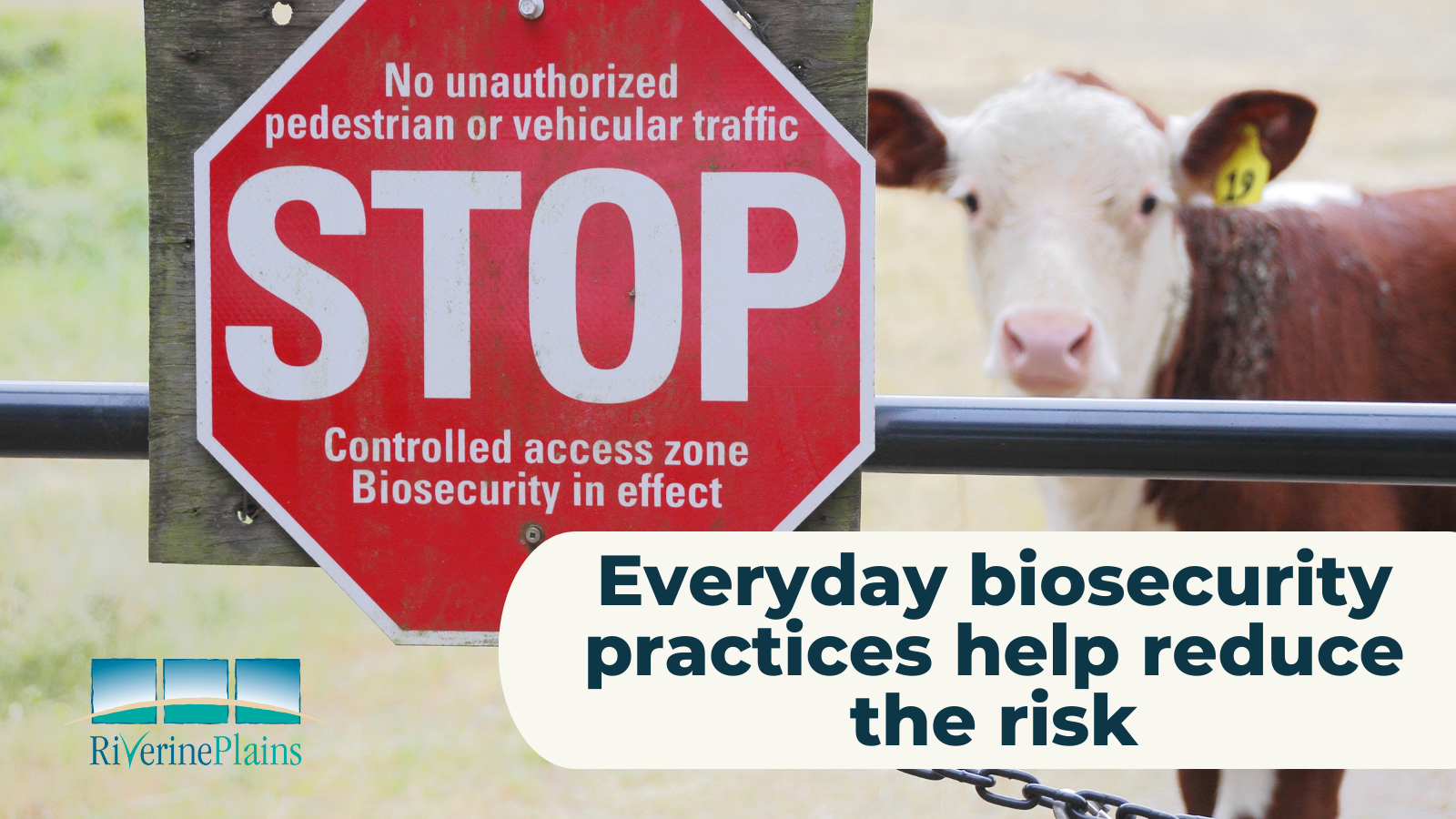 Everyday biosecurity practices help reduce the risk 